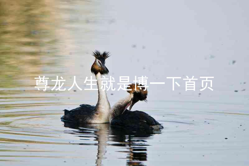 尊龙人生就是博一下首页